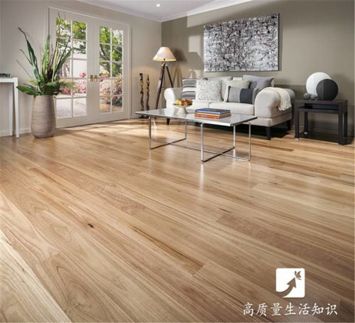 木地板、瓷磚還是塑膠地板？選對不后悔，家裝必看指南